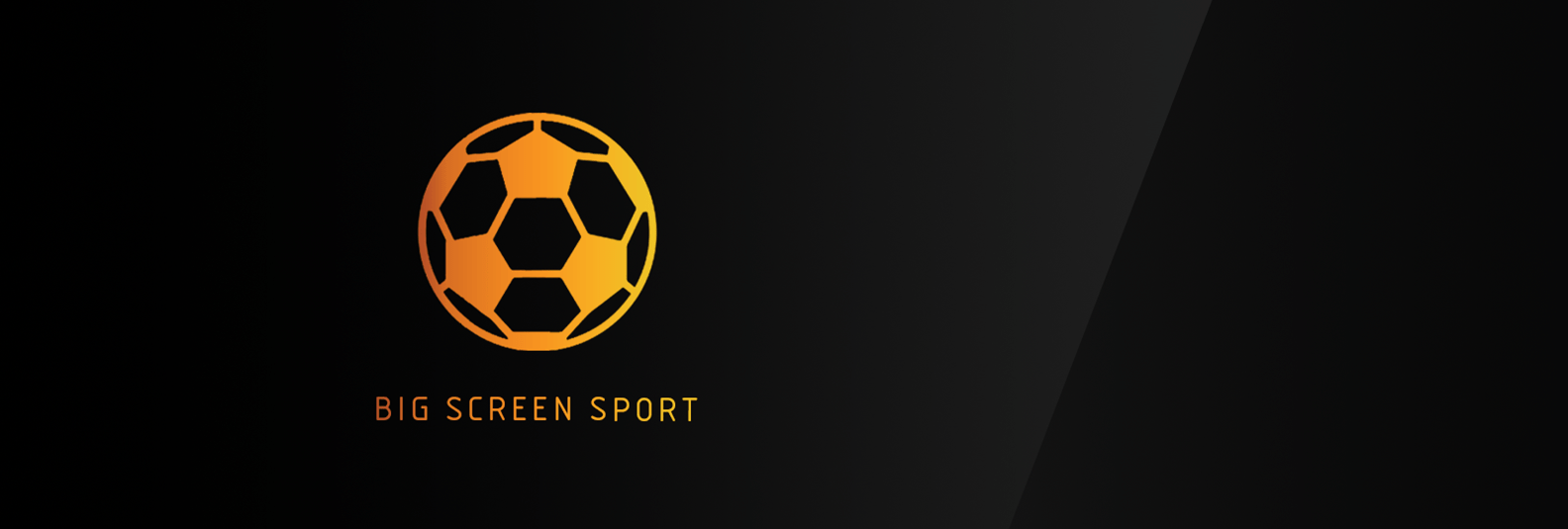 BIG SCREEN SPORTS